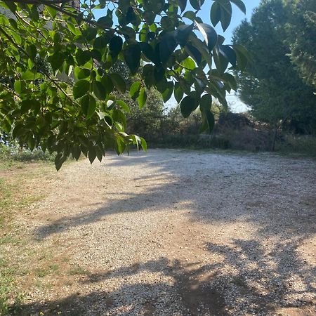 Albarosa Bed & Breakfast Ruvo di Puglia Bagian luar foto