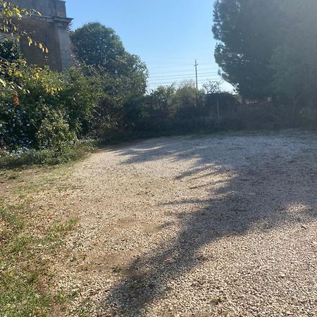 Albarosa Bed & Breakfast Ruvo di Puglia Bagian luar foto