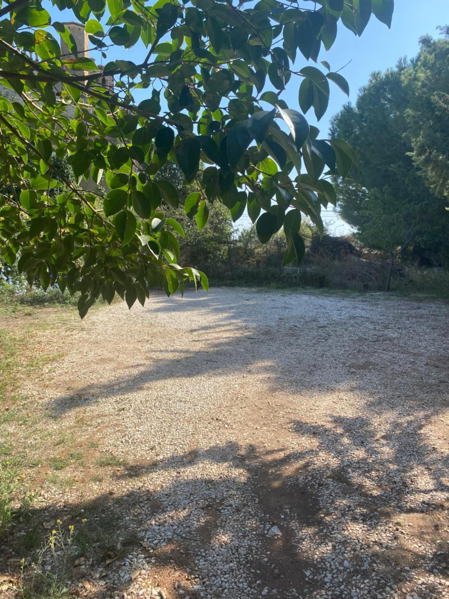 Albarosa Bed & Breakfast Ruvo di Puglia Bagian luar foto