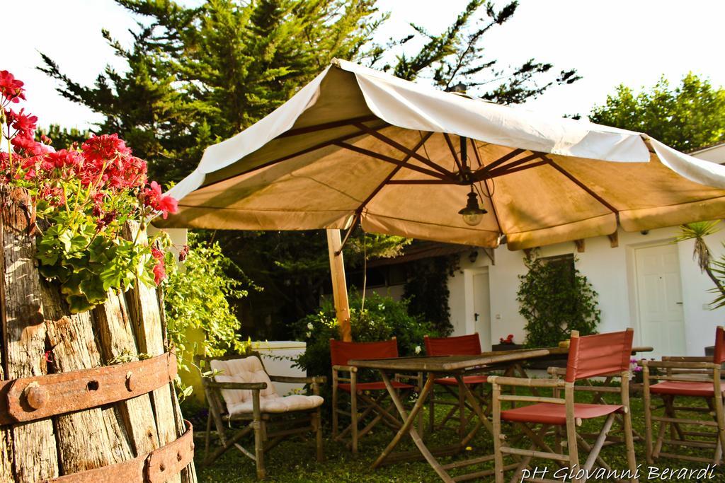 Albarosa Bed & Breakfast Ruvo di Puglia Bagian luar foto