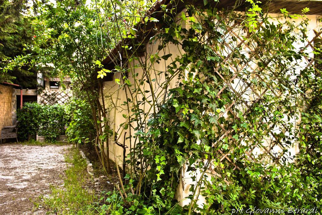 Albarosa Bed & Breakfast Ruvo di Puglia Bagian luar foto