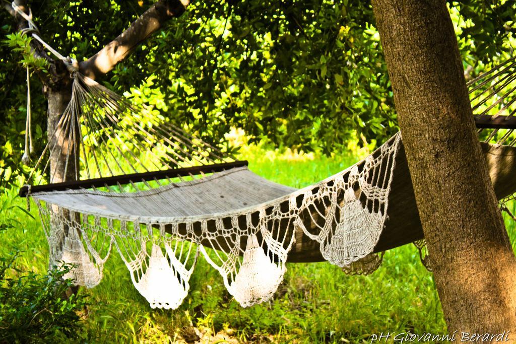 Albarosa Bed & Breakfast Ruvo di Puglia Bagian luar foto