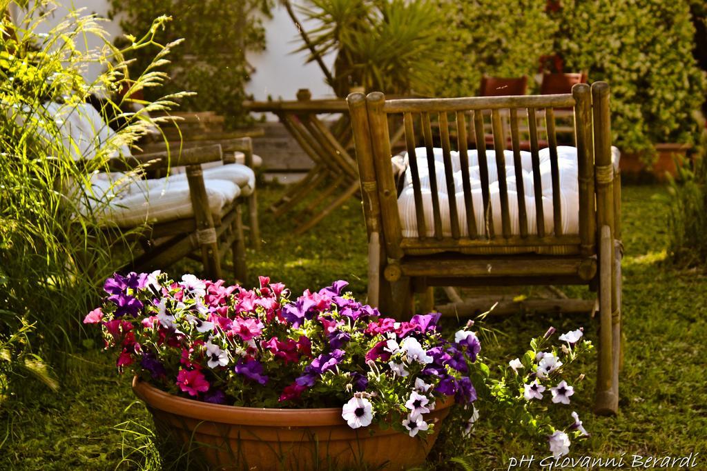 Albarosa Bed & Breakfast Ruvo di Puglia Bagian luar foto